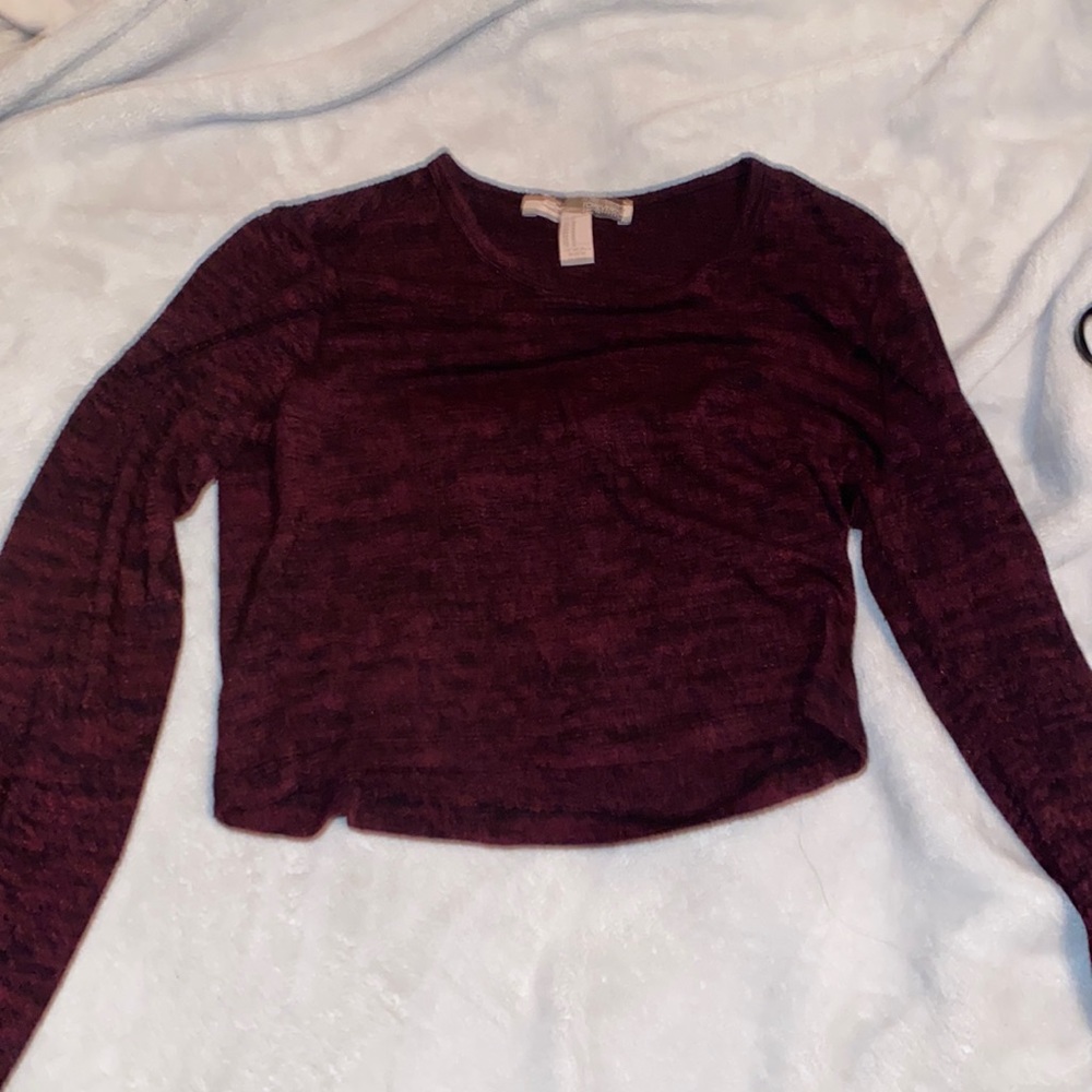 Forever21 Long-Sleeved Crop Top